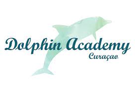 dolphin academy